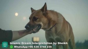 Brown-Dog-Bite-in-Dream-Islamic-