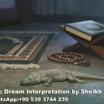 Dead Lizard in Dream Islamic Interpretation