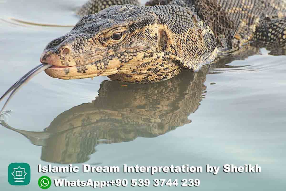 Monitor Lizard in Dream Islam