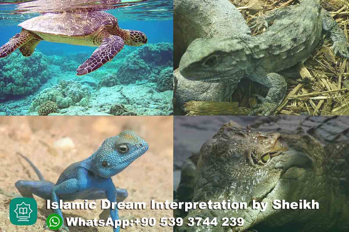 Reptiles Islamic Dream Meaning & Interpretation