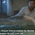 Seeing Black Lizard in Dream Islam