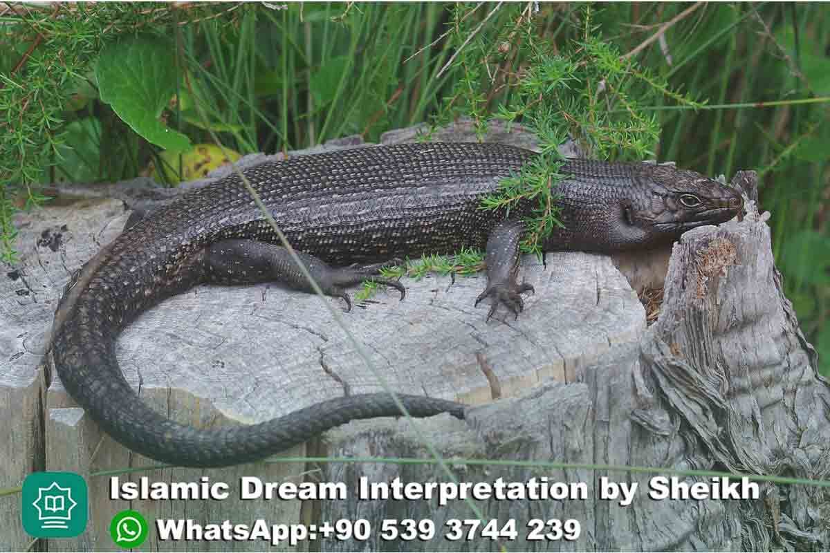 Seeing Black Lizard in Dream Islam
