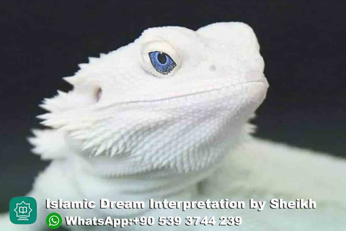 White Lizard in Dream Islam