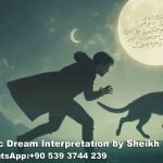 cat chasing me in dream islam