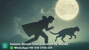 cat chasing me in dream islam