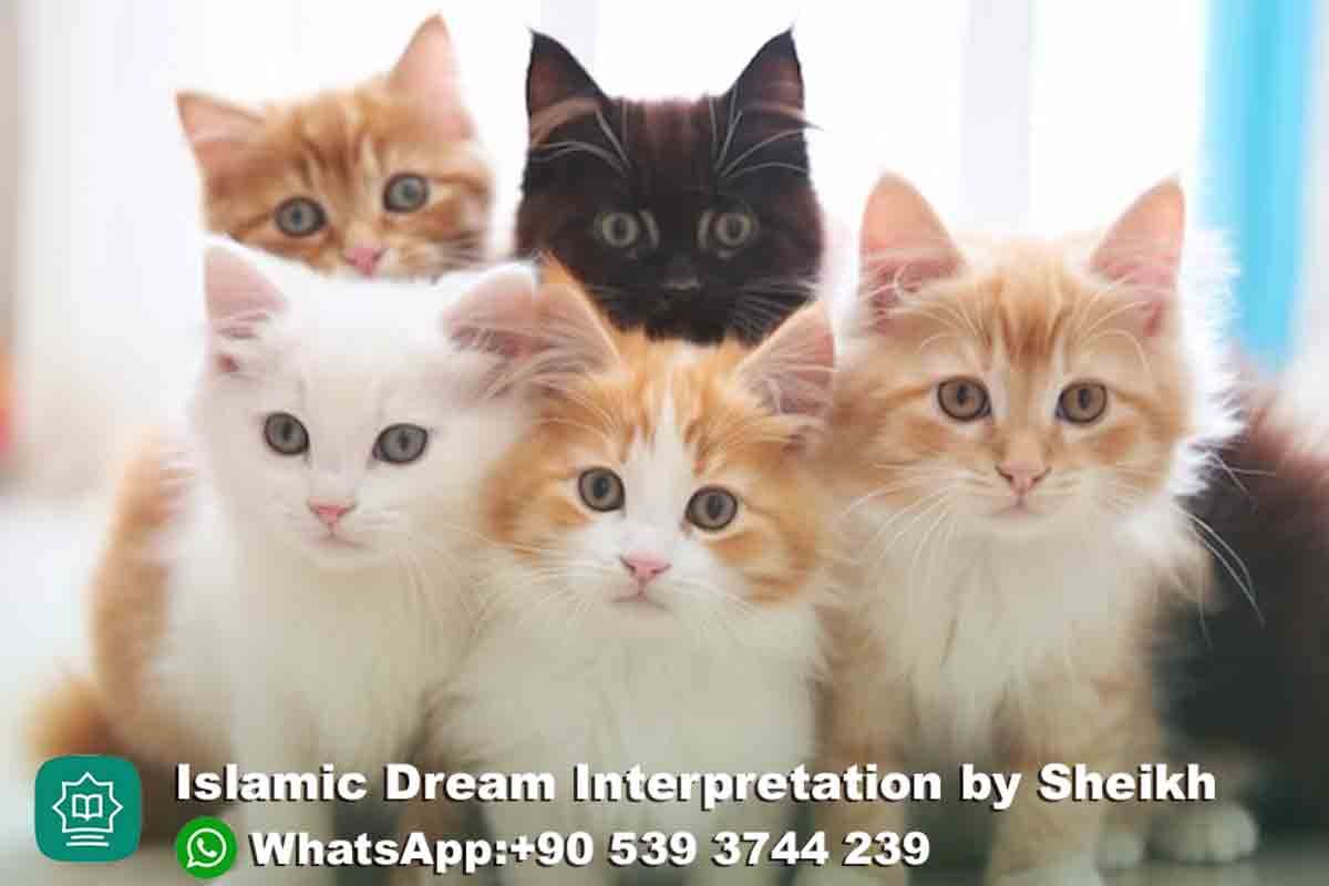 seeing many cats in dream islam