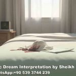 Menstrual Bloody Pad in Islamic Dream