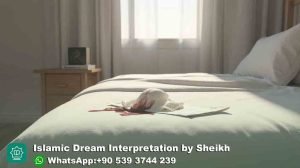 Menstrual Bloody Pad in Islamic Dream