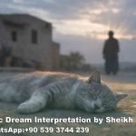seeing dead cat in dream islam