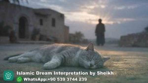 seeing dead cat in dream islam