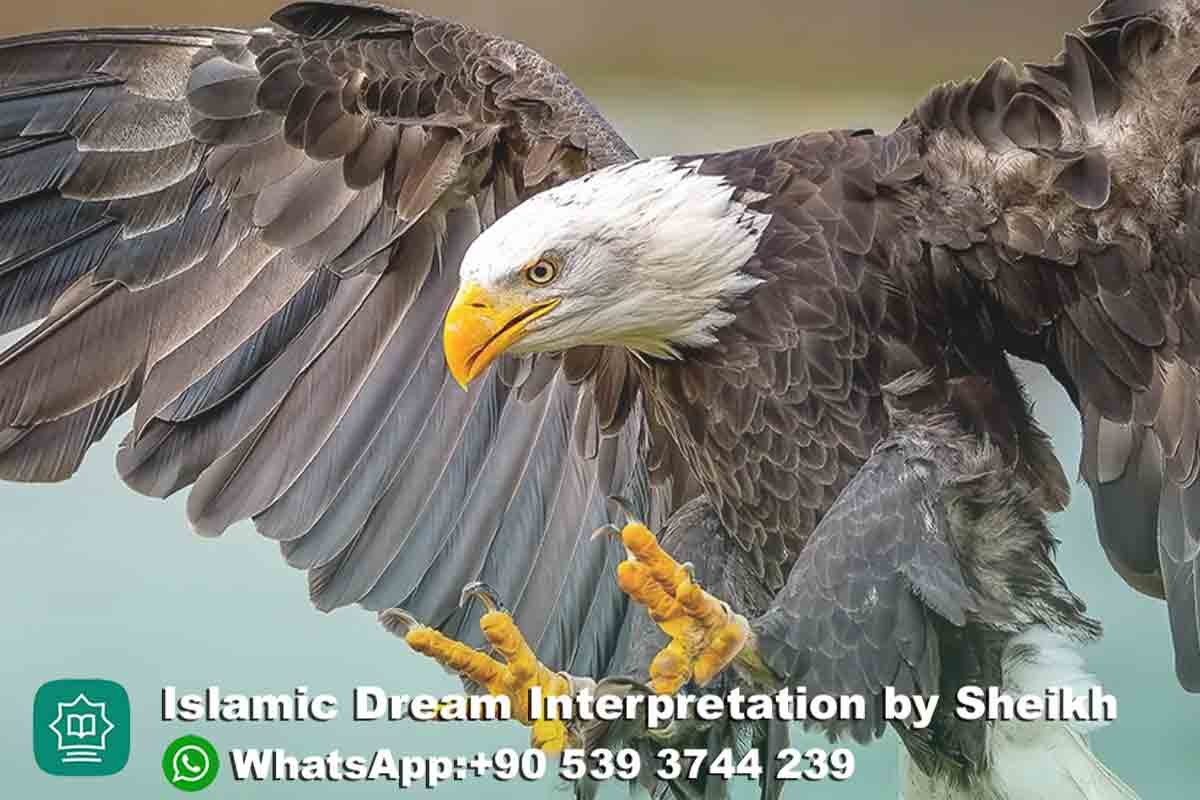 Seeing Eagle in Dream Islam