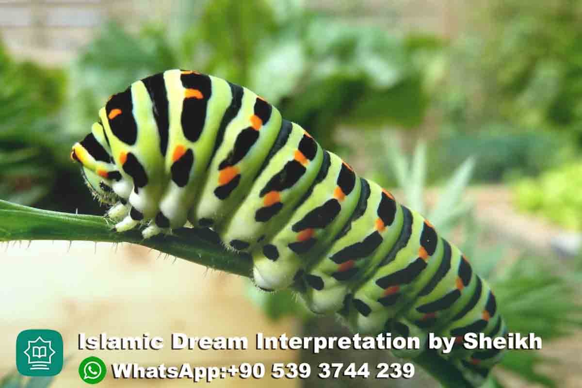 Seeing Caterpillars in Dream Islam