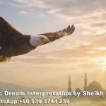 Seeing Eagle in Dream Islam