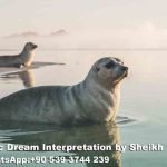 Seeing Seals in Islamic Dream