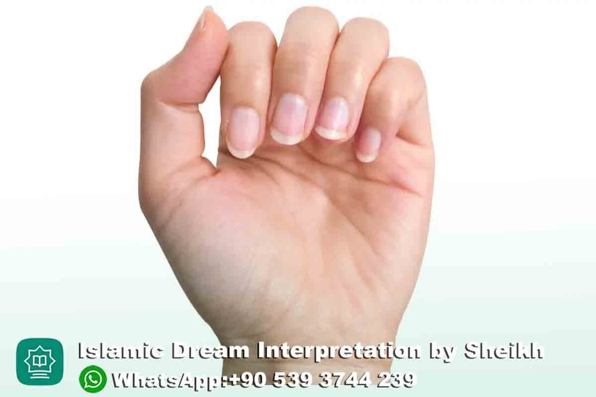 fingernails