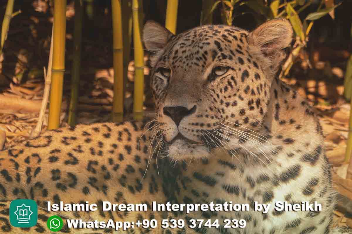Seeing leopard in Islamic Dream