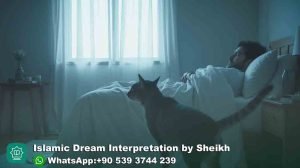 Angry Cat in Dream Meaning Islam