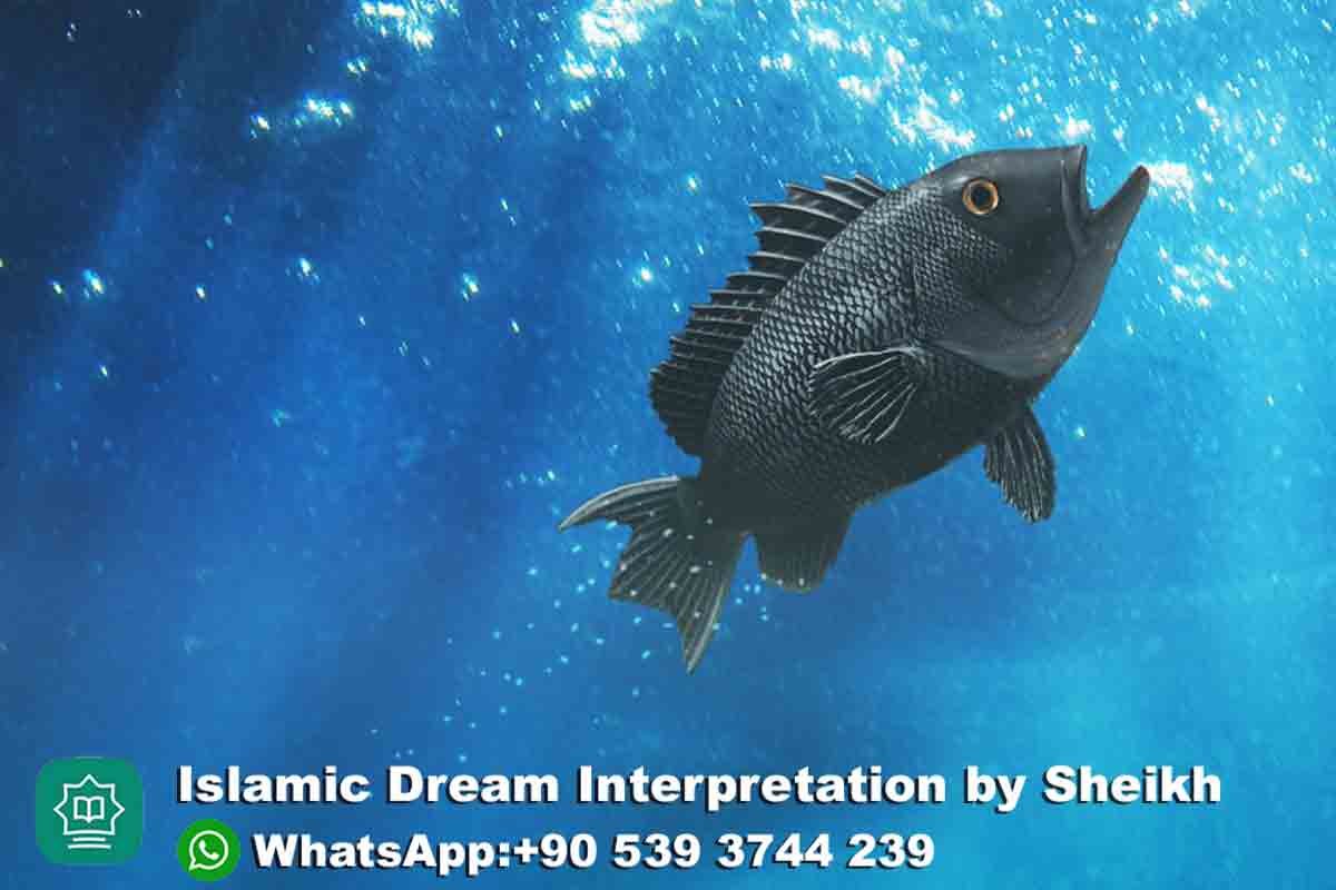 seeing black fish in dream in islam