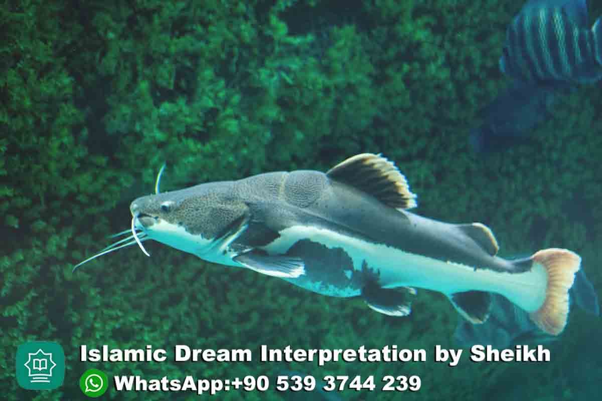 seeing cat fish in dream islam
