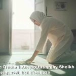 Cleaning Poop in Dream Islam