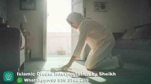 Cleaning Poop in Dream Islam