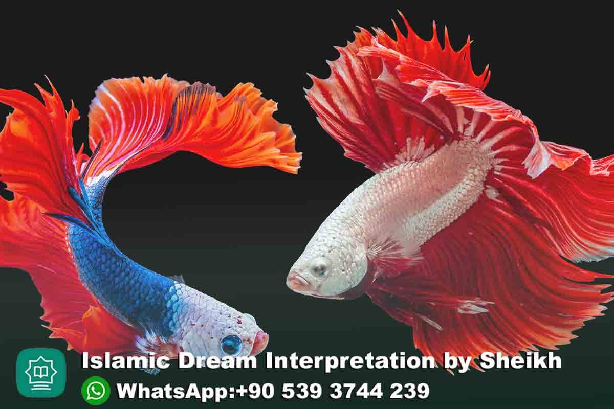 seeing colorful fish in dream islam