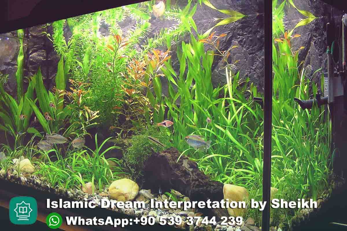 seeing fish aquarium in dream islam