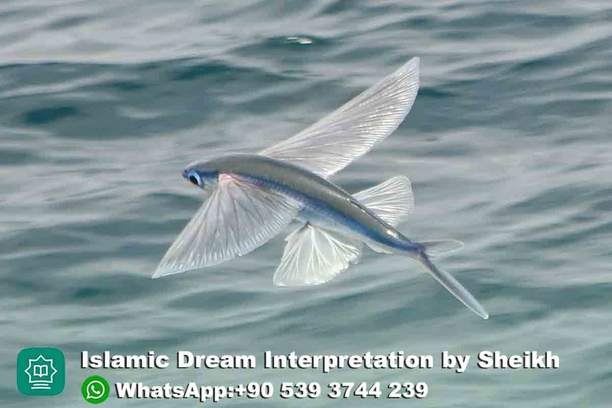 seeing flying fish in dream islam