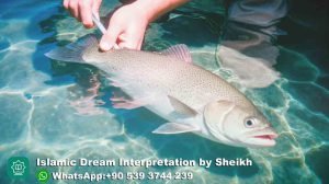 Killing Fish