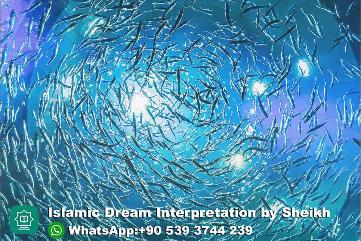 seeing lots of fish in dream islam