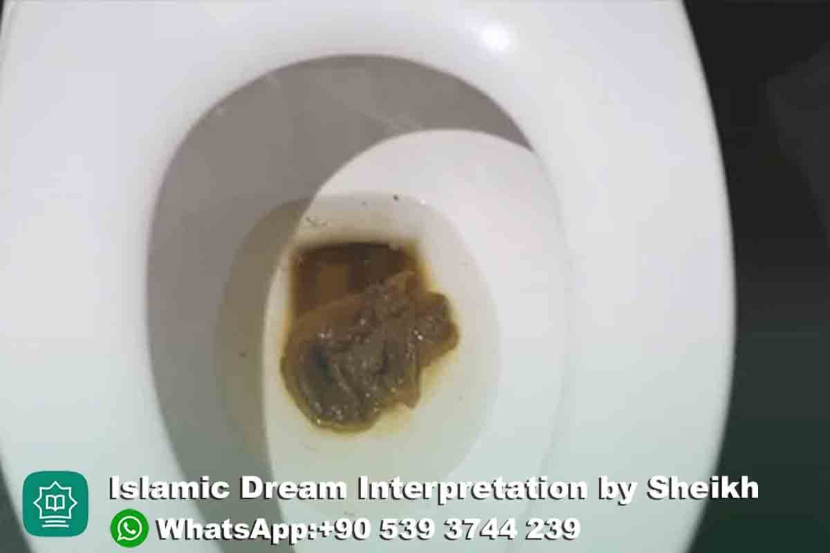 seeing poop in toilet dream meaning in islam