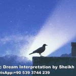 Seeing Black Bird in Dream Islam
