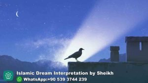 Seeing Black Bird in Dream Islam