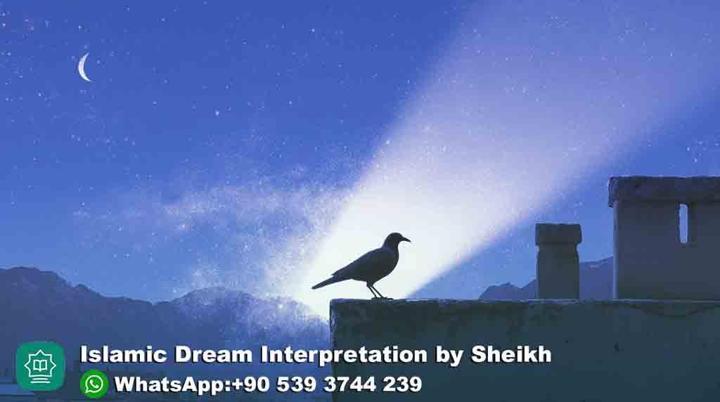Seeing Black Bird in Dream Islam