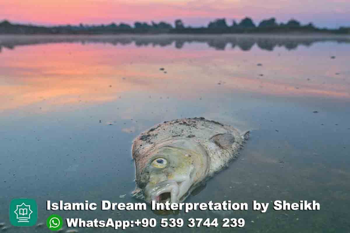 Seeing Dead Fish in Dream Islam