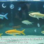 seeing fish aquarium in dream islam