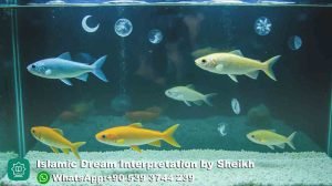 seeing fish aquarium in dream islam