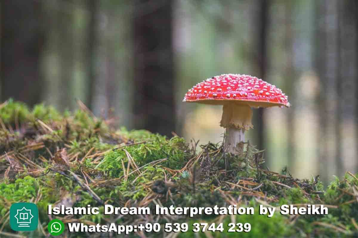Seeing mushrooms in Dream Islam