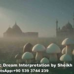 Seeing mushrooms in Dream Islam