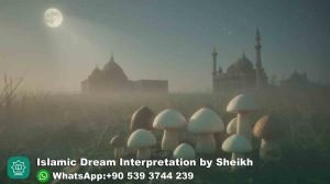 Seeing mushrooms in Dream Islam