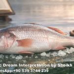 Seeing Raw Fish in Dream Islam