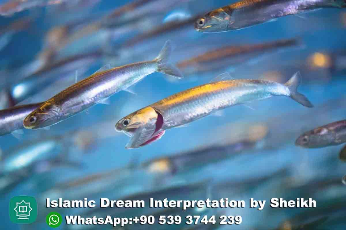Seeing Small Fish in Dream Islam