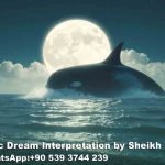 Seeing Whales in Dream Islam
