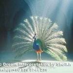Seeing peacock