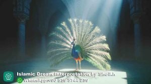 Seeing peacock