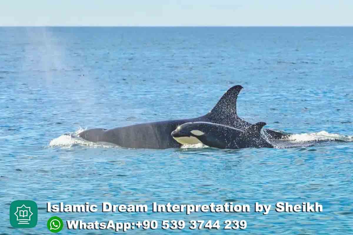 Seeing Whales in Dream Islam