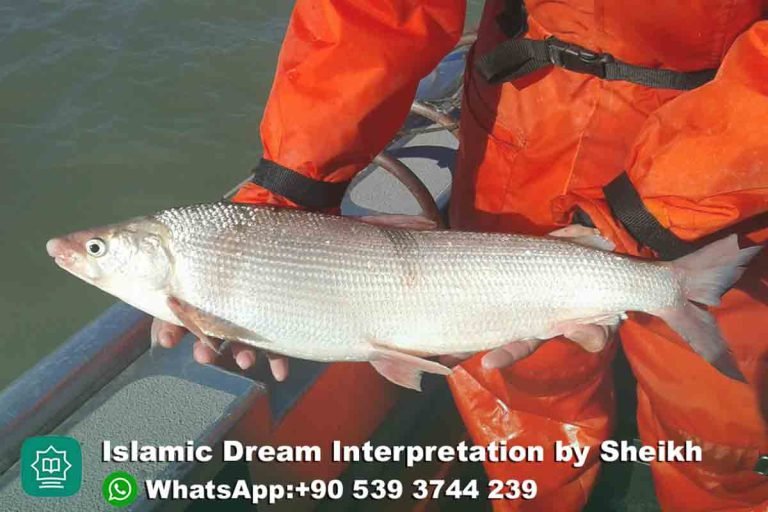 Dreaming of White Fish in Islam | Best Istikhara