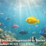 seeing colorful fish in dream islam