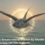 seeing flying fish in dream islam