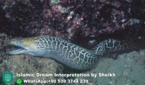 Dreaming of Eel in Islam